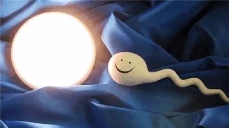 健闻医疗